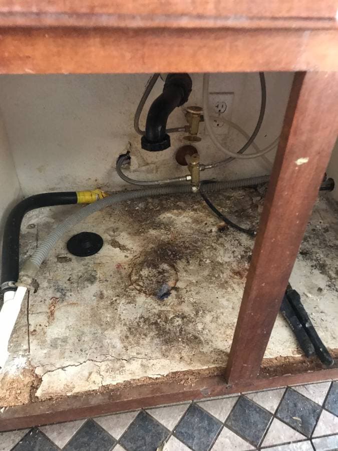 picture of a kitchen sink without a garbage disposal